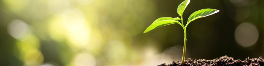 small-but-powerful-browser-extensions